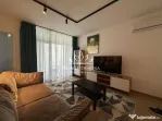 Apartament deosebit cu 2 camere in Isho - vedere spre Bega
