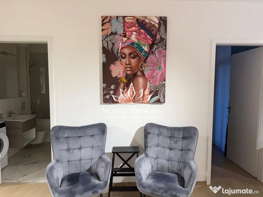 Apartament deosebit cu 2 camere in Isho - vedere spre Bega