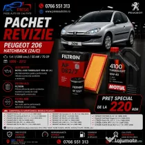 Pachet Revizie Peugeot 206 1.4 i 75 CP (1998–2012)