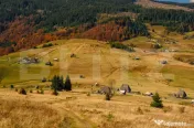 Terenuri extravilane de 14 Ha, în localitatea Ocoliș 