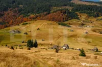 Terenuri extravilane de 14 Ha, în localitatea Ocoliș 