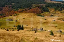 Terenuri extravilane de 14 Ha, în localitatea Ocoliș
