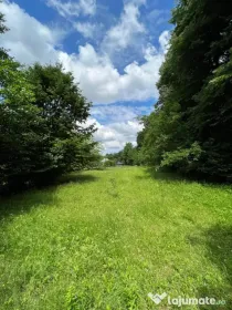 Teren intravilan de vanzare Merisani, Arges, 2291 mp