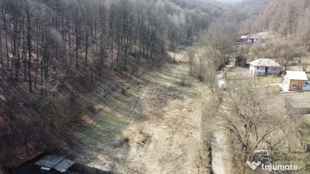 Teren intravilan de vanzare Merisani, Arges, 2291 mp