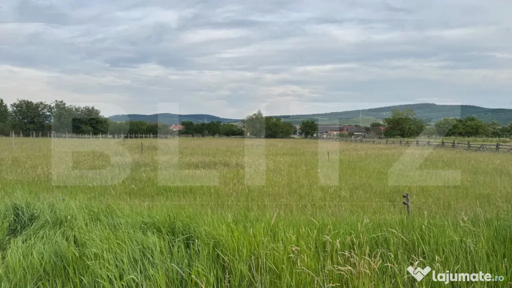 Doua parcele a cate 1100 mp de teren intravilan în Livezile