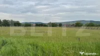 Doua parcele a cate 1100 mp de teren intravilan în Livezile 