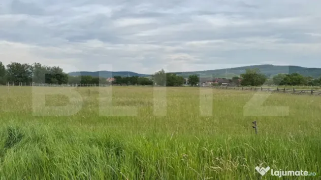 Doua parcele a cate 1100 mp de teren intravilan în Livezile