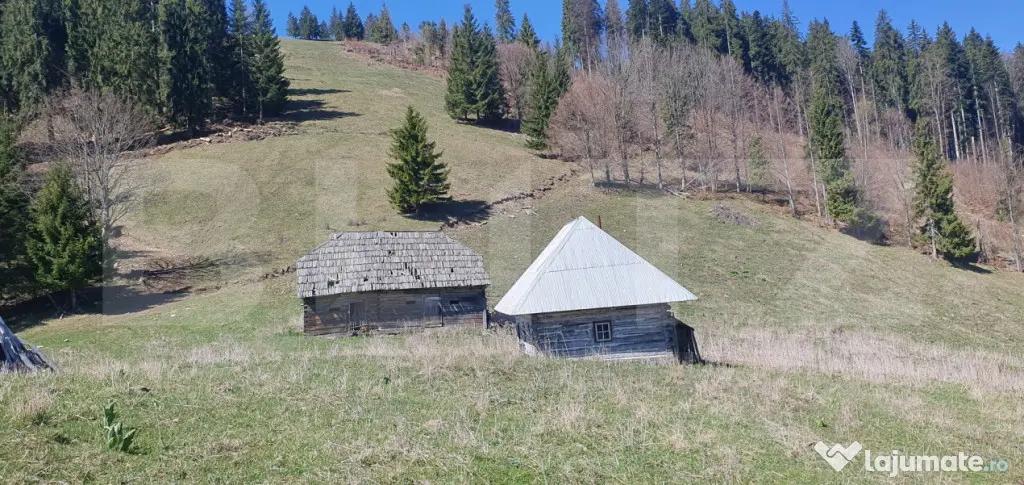 Teren cu o suprafata generoasa de 206.189 mp extravilan