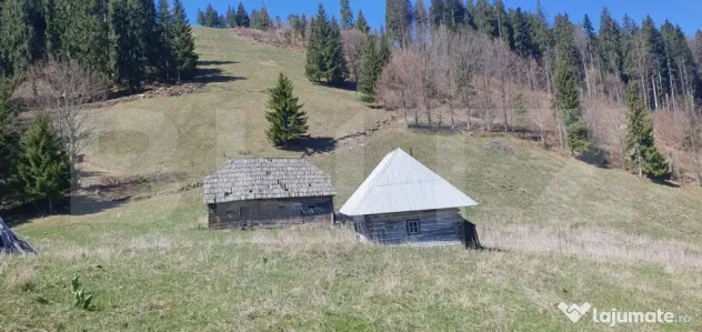 Teren cu o suprafata generoasa de 206.189 mp extravilan