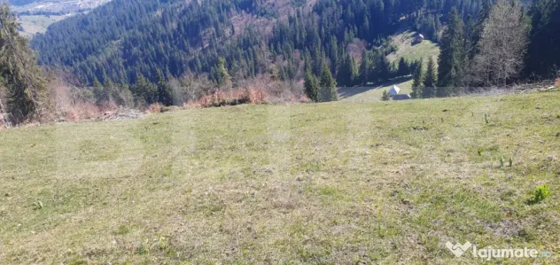 Teren cu o suprafata generoasa de 206.189 mp extravilan