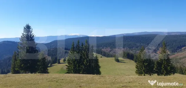 Teren cu o suprafata generoasa de 206.189 mp extravilan