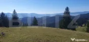 Teren cu o suprafata generoasa de 206.189 mp extravilan 