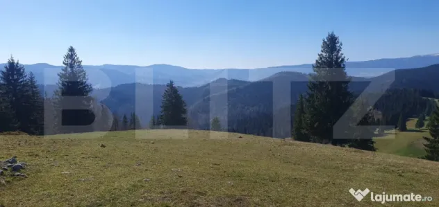 Teren cu o suprafata generoasa de 206.189 mp extravilan