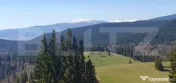 Teren cu o suprafata generoasa de 206.189 mp extravilan 