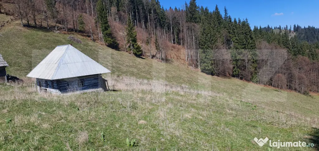 Teren cu o suprafata generoasa de 206.189 mp extravilan
