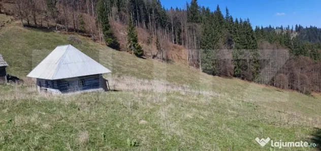 Teren cu o suprafata generoasa de 206.189 mp extravilan