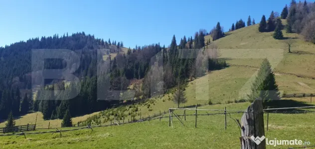 Teren cu o suprafata generoasa de 206.189 mp extravilan