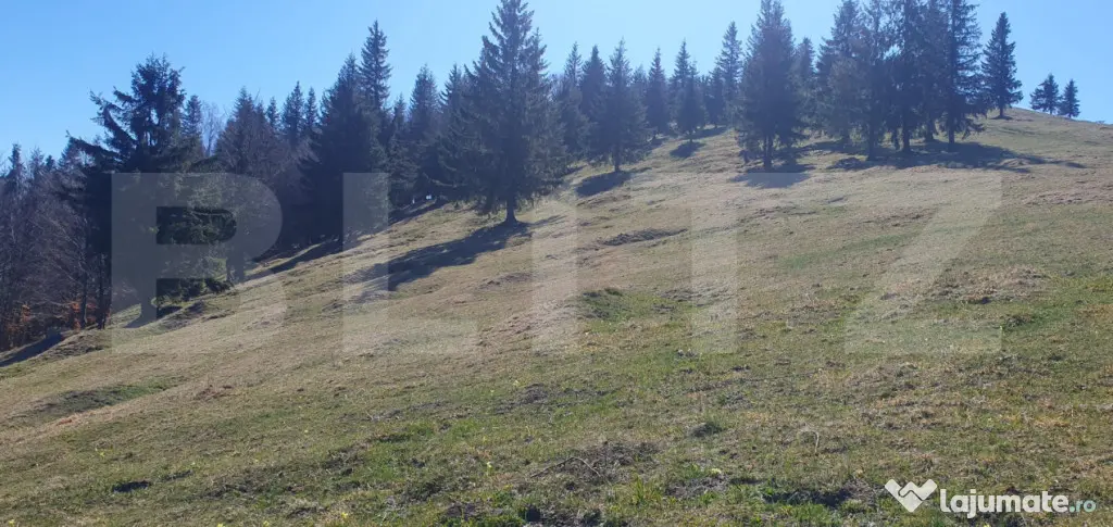 Teren cu o suprafata generoasa de 206.189 mp extravilan