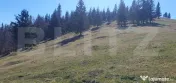 Teren cu o suprafata generoasa de 206.189 mp extravilan 