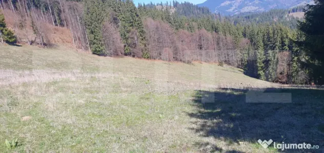 Teren cu o suprafata generoasa de 206.189 mp extravilan
