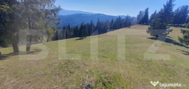 Teren cu o suprafata generoasa de 206.189 mp extravilan