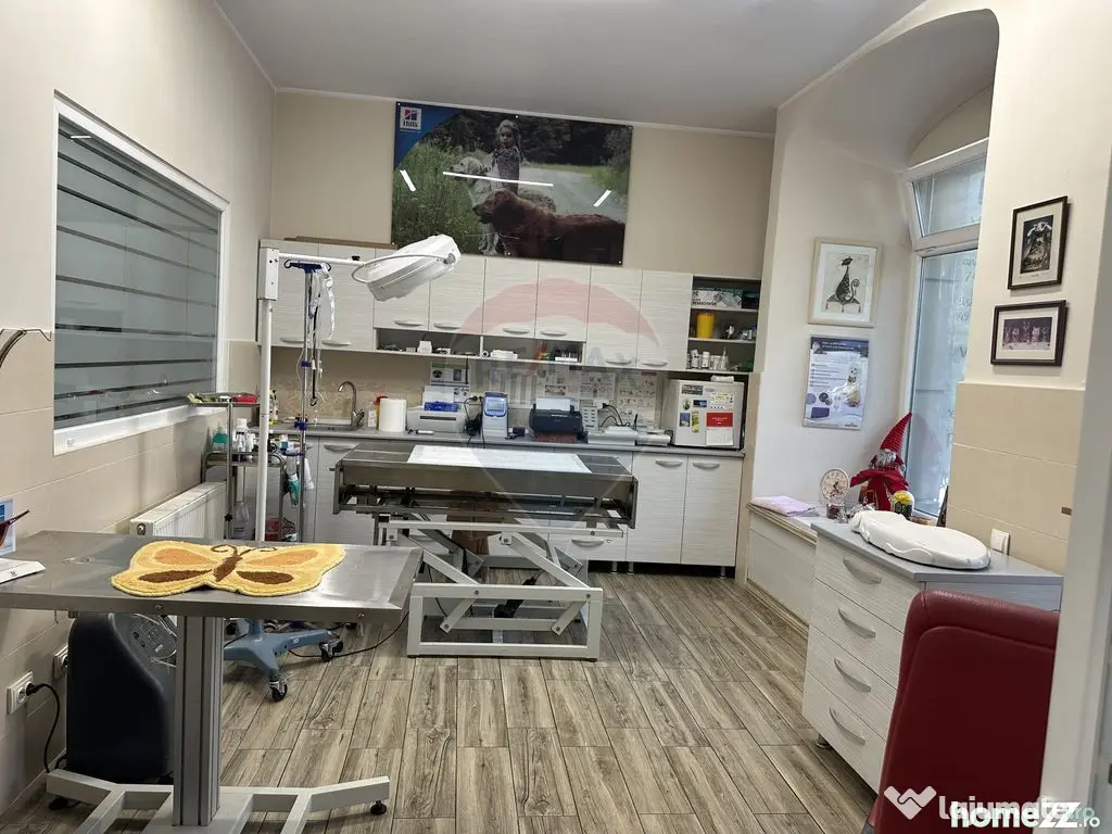 Spațiu Comercial de Vânzare | Bulevardul Traian, Piatra... - Piatra-Neamt (Neamt)