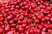 Vand cirese bio Gaesti-Dambovita 