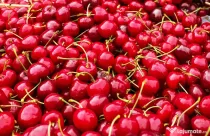 Vand cirese bio Gaesti-Dambovita