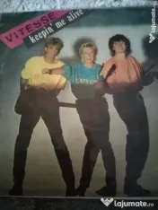 Discuri vinyl de pick-up 
