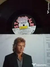 Discuri vinyl de pick-up 