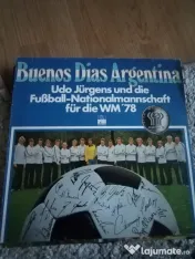 Discuri vinyl de pick-up 