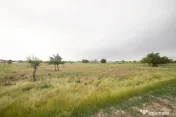 Lot teren 700 mp*Intravilan*Comuna Berceni*deschidere 17m 