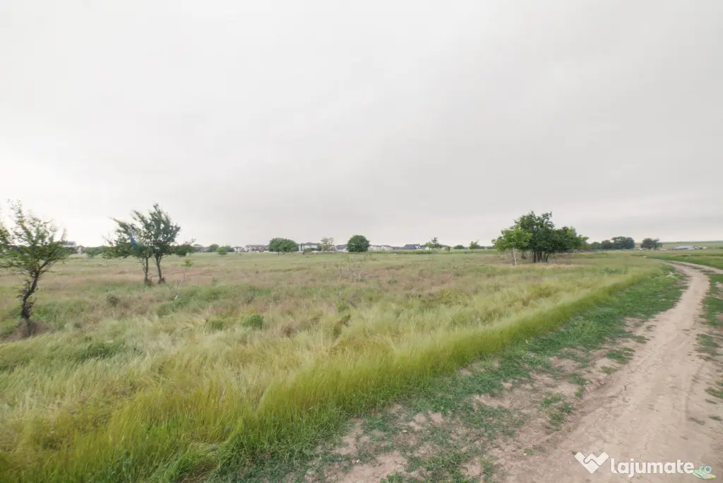 Lot teren 700 mp*Intravilan*Comuna Berceni*deschidere 17m