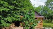 De vânzare cabană cu teren în zona Remetea Chioarului 