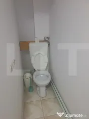 Penthouse, 110 mp, zona Lugoj