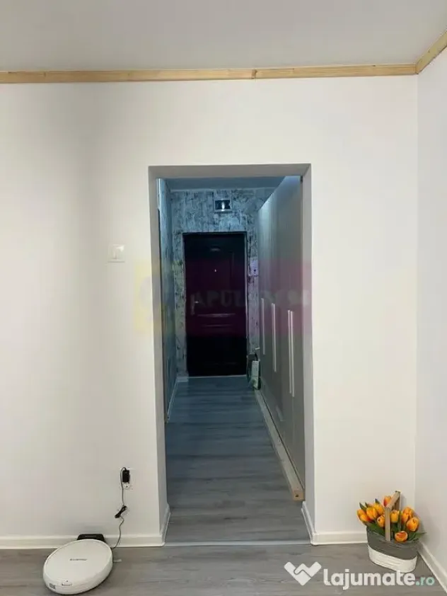 Apartament 2 camere complet mobilat, Tineretului -Vacaresti