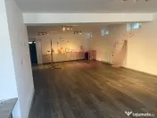 Vila D+P+1+M cu teren 446 mp Drumul Sarii. 