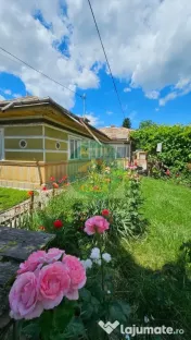 Casa cu 2000 mp teren de vanzare, Roman,Neamt 