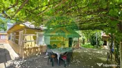Casa cu 2000 mp teren de vanzare, Roman,Neamt 
