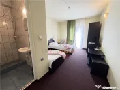 PENSIUNE 20 CAMERE | ZONA SANMARTIN | BIHOR | ACCES DIN E79