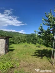 CASA DE VANZARE CU LIVADA ,FANTANA PROPRIE ,LA STR PRINCIPAL