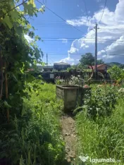 CASA DE VANZARE CU LIVADA ,FANTANA PROPRIE ,LA STR PRINCIPAL