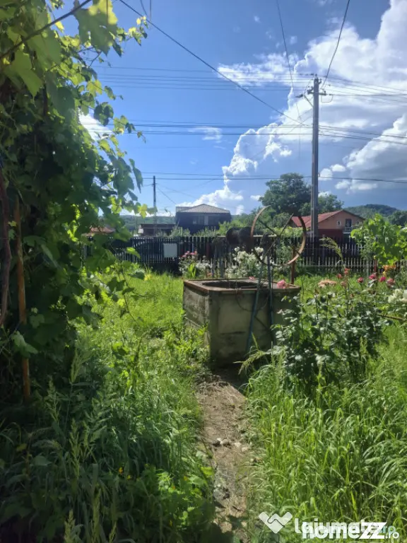 Casa de vanzare cu livada, fanta, 98 mp, Str. Principala - C - Coada Malului (Prahova)