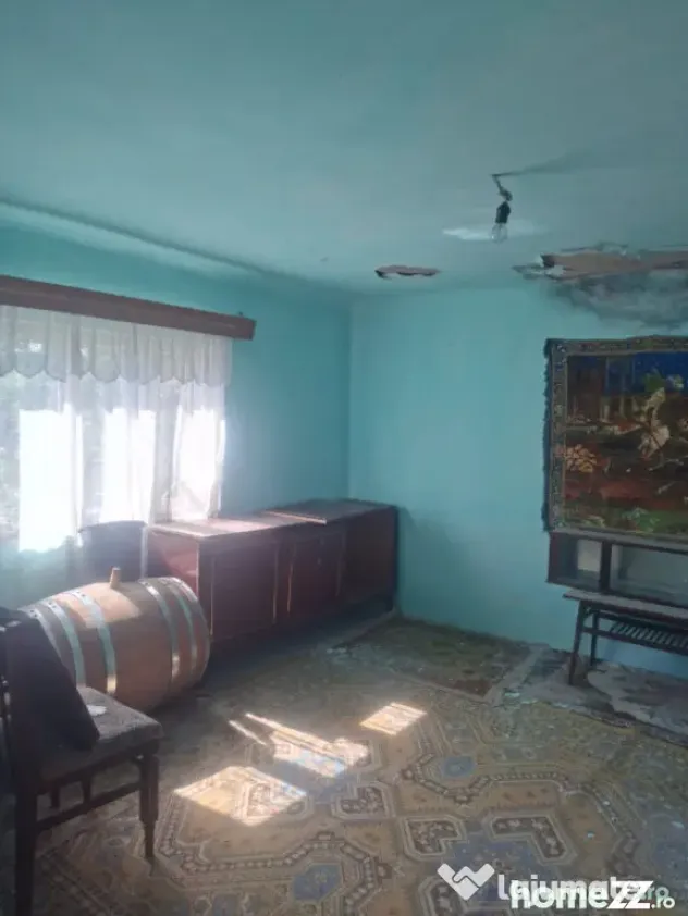 Casa de vanzare cu livada, fanta, 98 mp, Str. Principala - C - Coada Malului (Prahova)