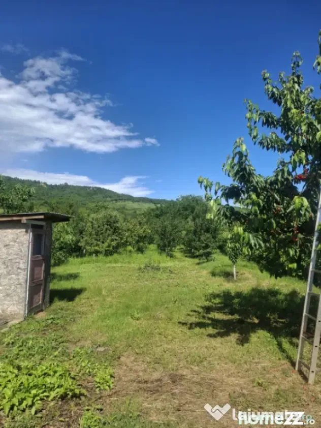 Casa de vanzare cu livada, fanta, 98 mp, Str. Principala - C - Coada Malului (Prahova)