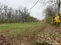 Teren cu deschidere la lac I Snagov