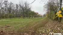 Teren cu deschidere la lac I Snagov