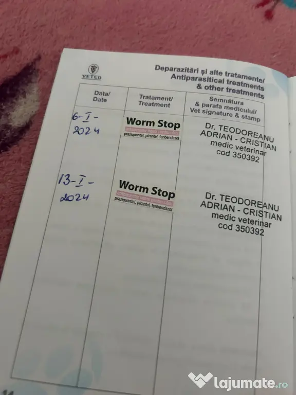 Câini husky vaccinați