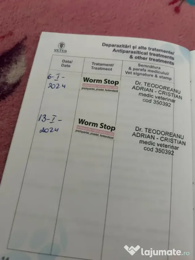 Câini husky vaccinați