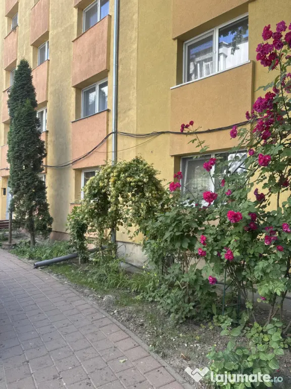 Apartament 3 camere George enescu
